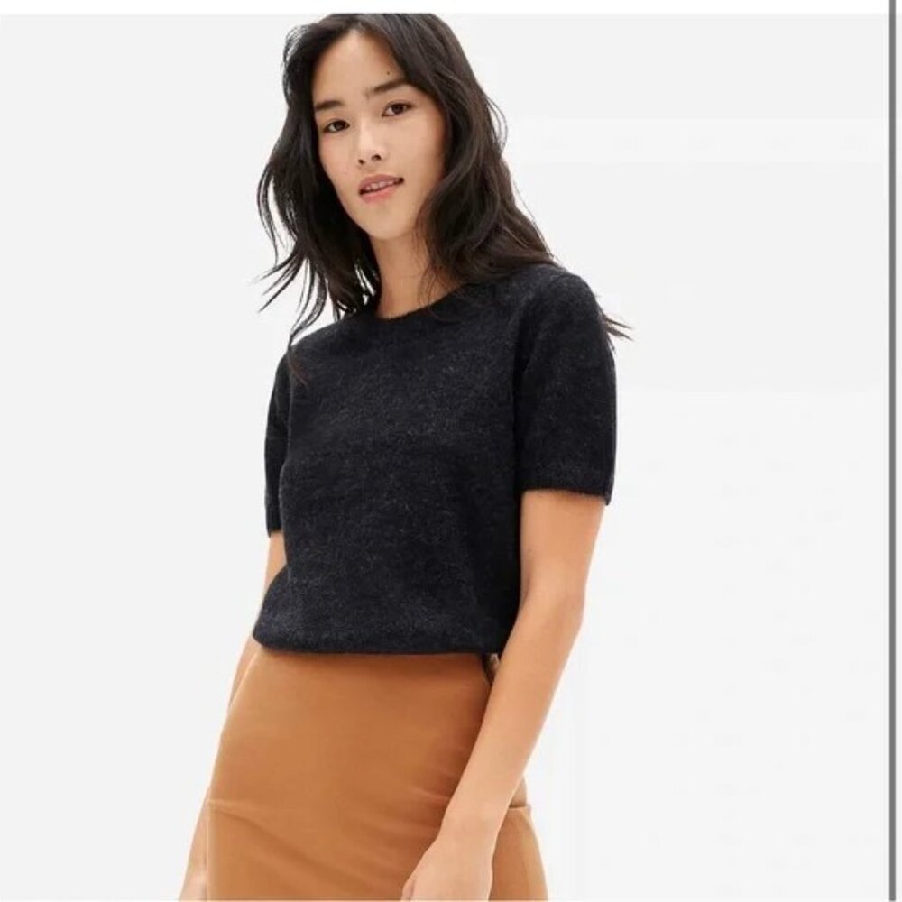 Everlane The Alpaca Sweater Tee